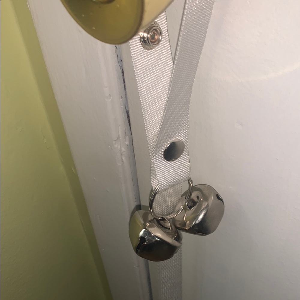 Dog training bells